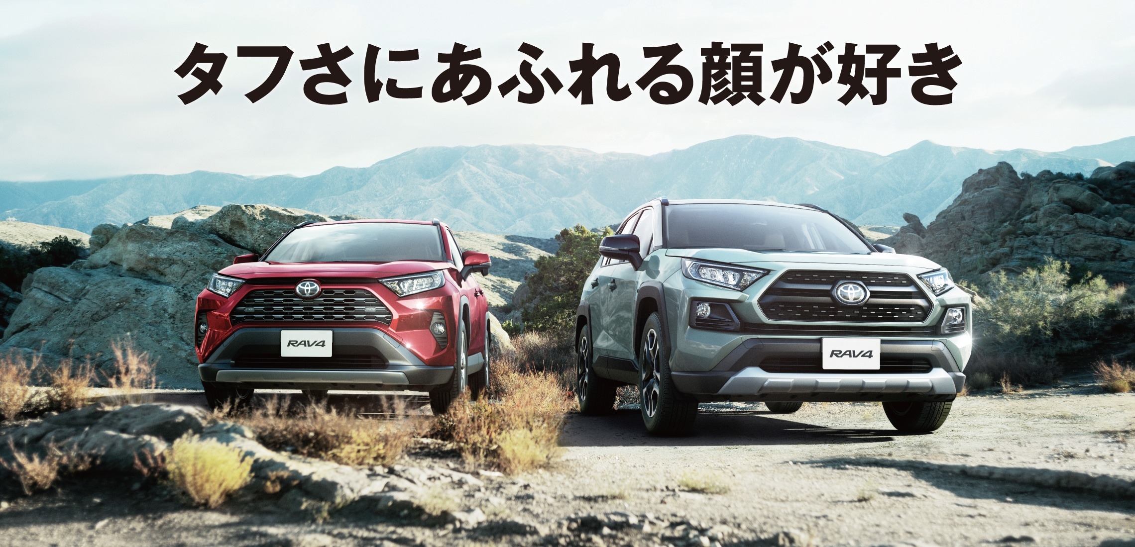 RAV4⑥