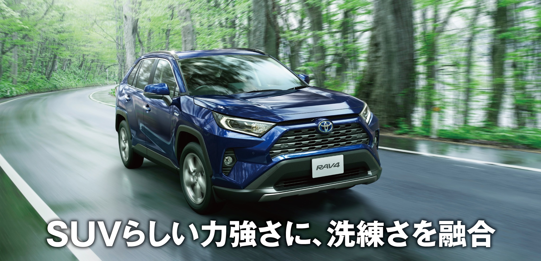 RAV4⑧