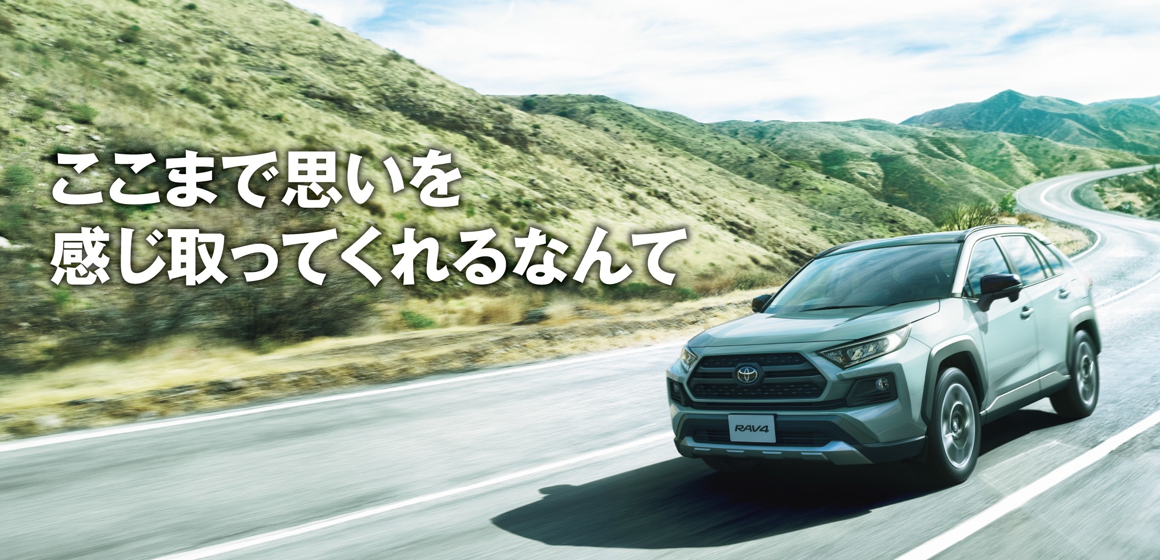 RAV4⑪