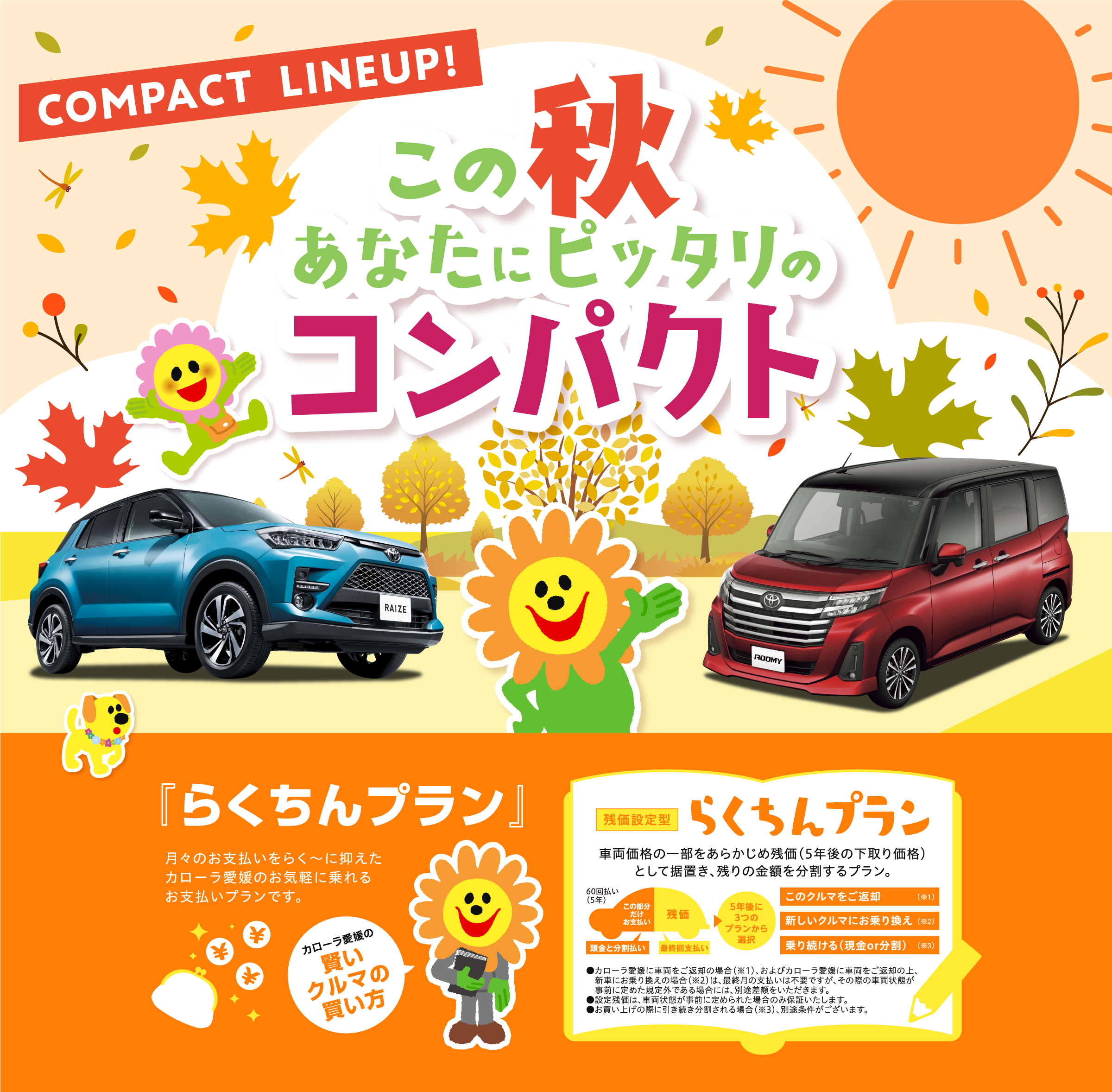 イメージ:この夏ぴったりのコンパクト