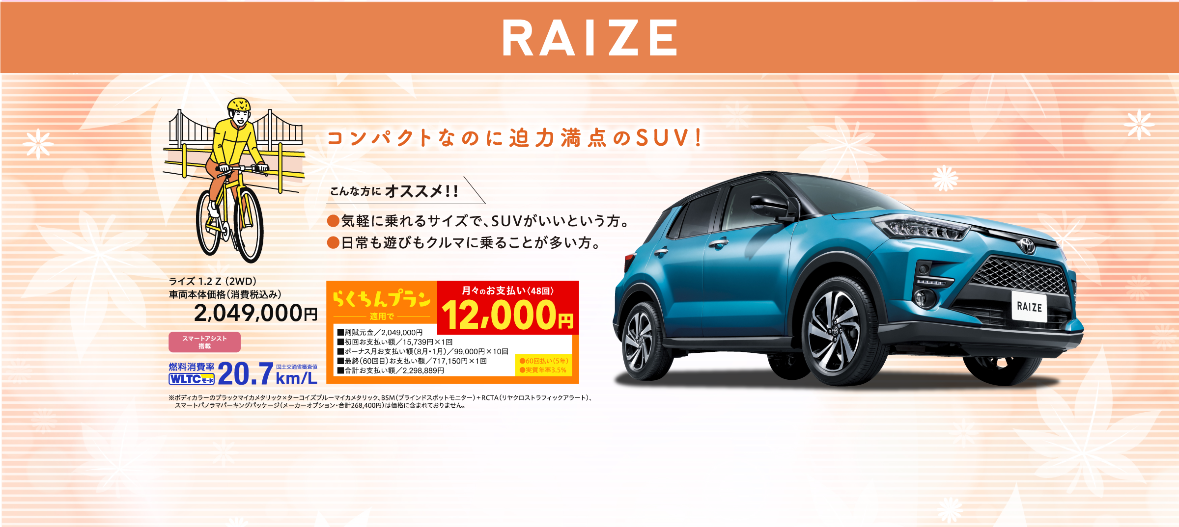 イメージ：RAIZE